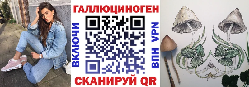 Галлюциногенные грибы Psilocybine cubensis  Купить где  Сальск 